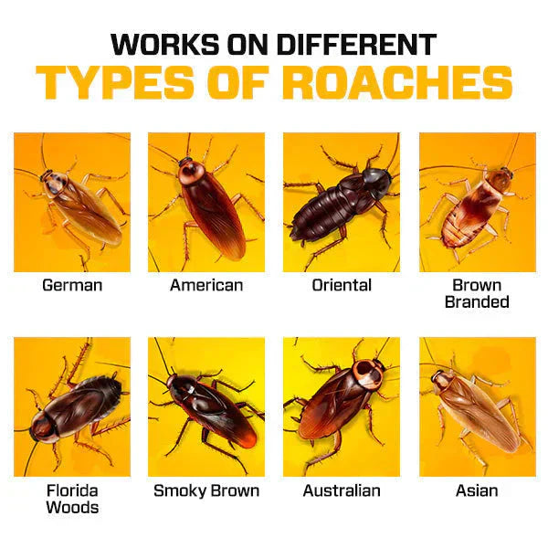 Cockroach Killer Gel – Effortless Pest Control