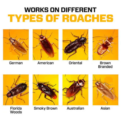 Cockroach Killer Gel – Effortless Pest Control